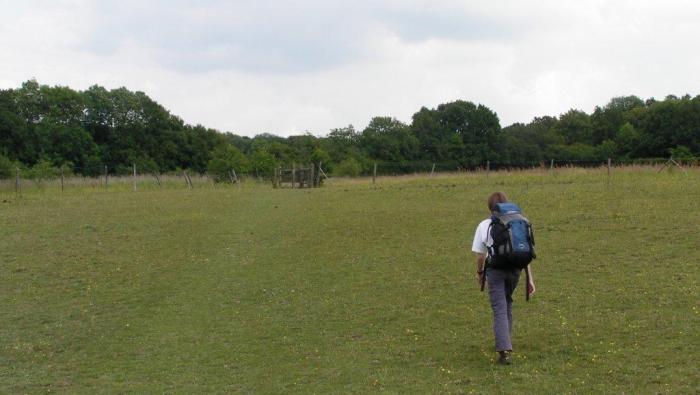 Crossing fields atop the escarpment