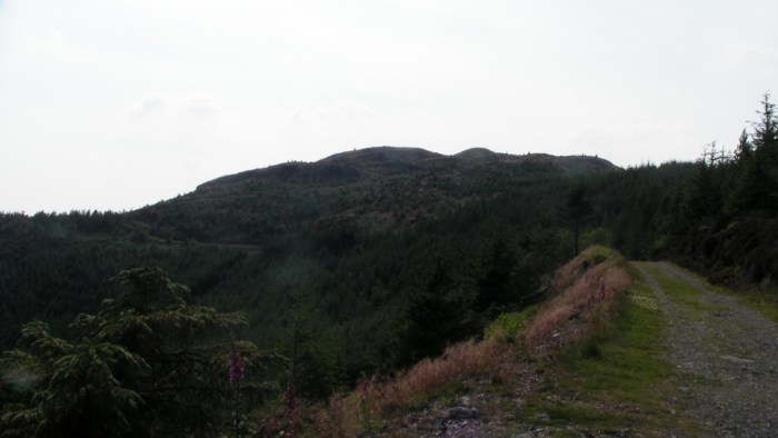 SANY2878 Ascent of Dodd