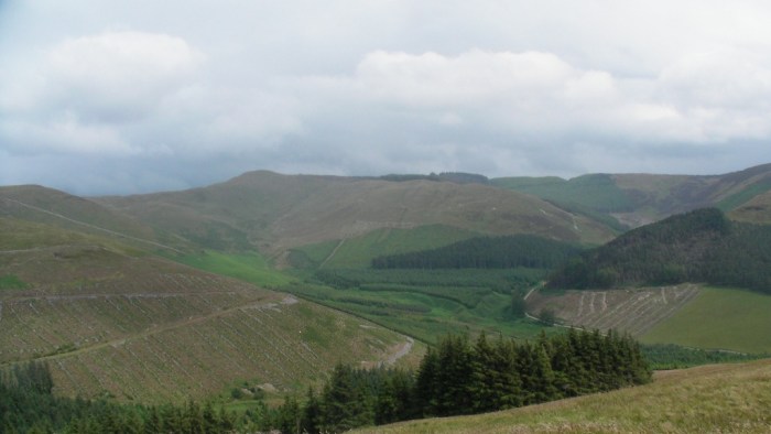 Whinlatter Forest