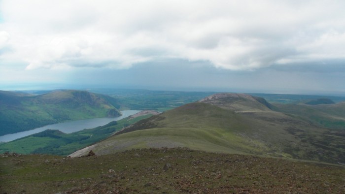 Starling Dodd and Great Borne Starling Dodd and Great Borne