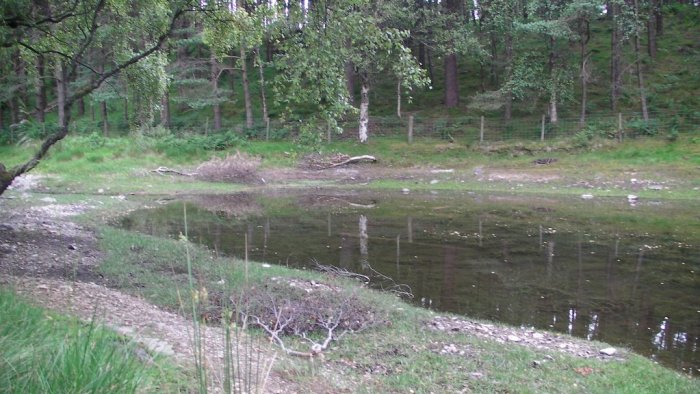 Lanty's Tarn - apart from the Red Squirrel, a bit disappointing