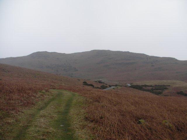 Through the bracken to Blawith Knott