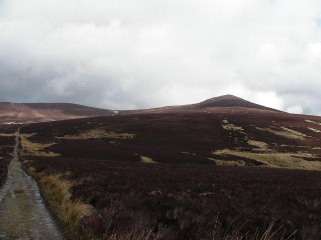 Great Calva from Skiddaw House
