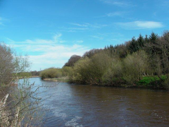 SANY2483 River Caldew