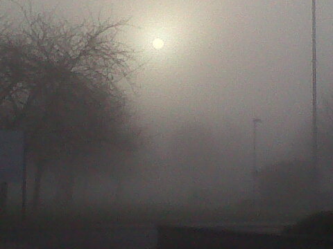 Warley Mist