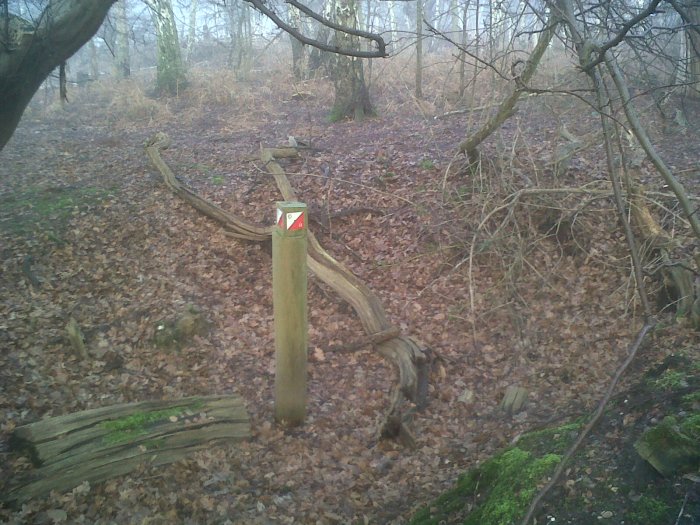 Permanent orienteering course in Thorndon Country Park