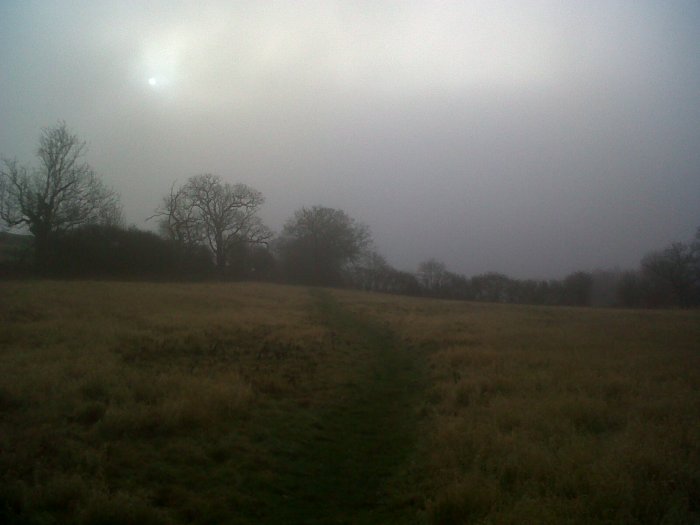 A day of misty fields