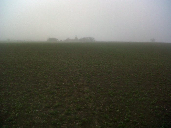 Liked this field so much I took it with me