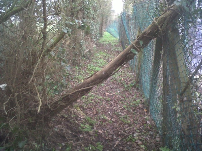 West Horndon Obstacle Course