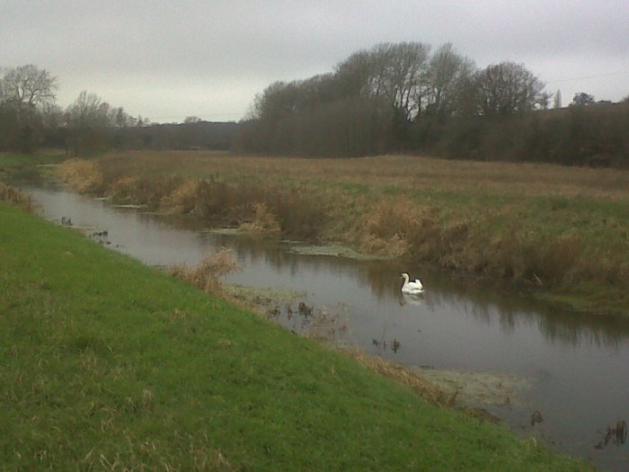 Along the Mardyke (still) Along the Mardyke (still)