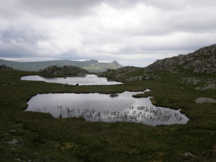 Tarns on the traverse to Glaramara