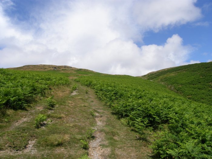 Bracken covers the lower slopes Bracken covers the lower slopes
