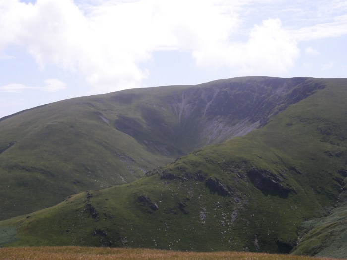 ...and the black one ...and the black one