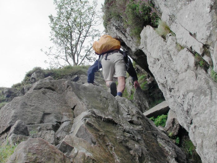 Climbing Jack's Rake Climbing Jack's Rake