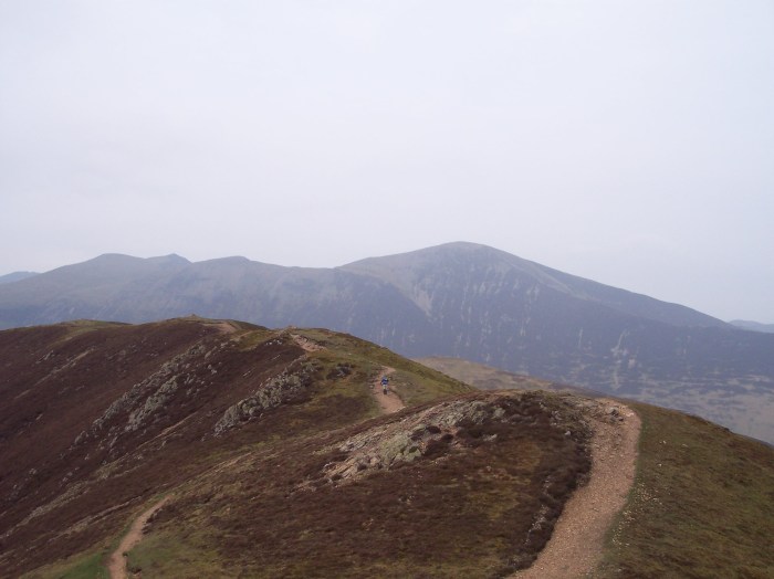 Over Causey's nobbles Over Causey's nobbles