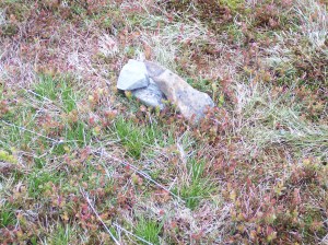 The "summit" of Hazelgill Knott
