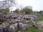 Limestone Pavement