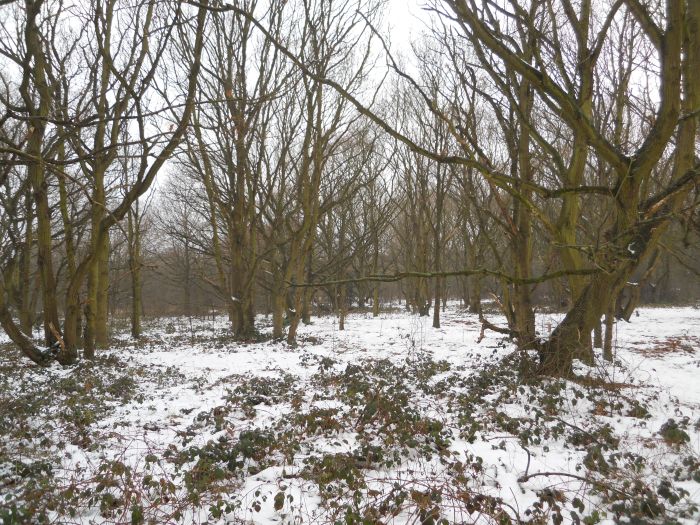 Everywhere looks the same today