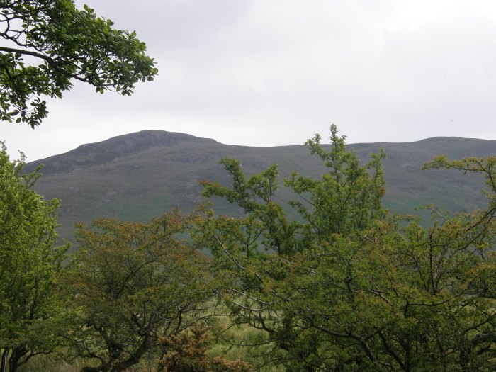 Binsey on the approach from Bewaldeth Binsey on the approach from Bewaldeth
