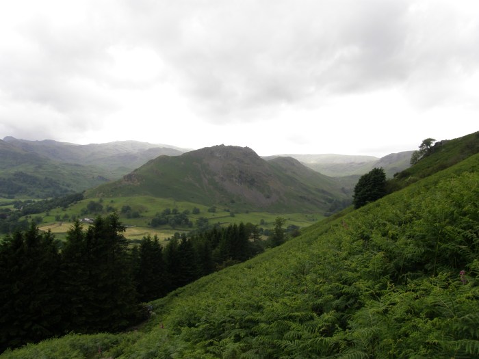 Helm Crag from Stone Arthur Helm Crag from Stone Arthur