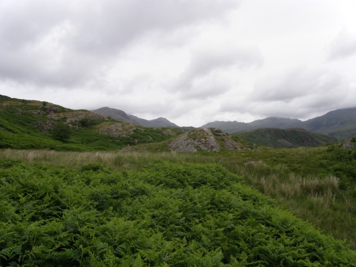 P7060910 Looking promising ahead