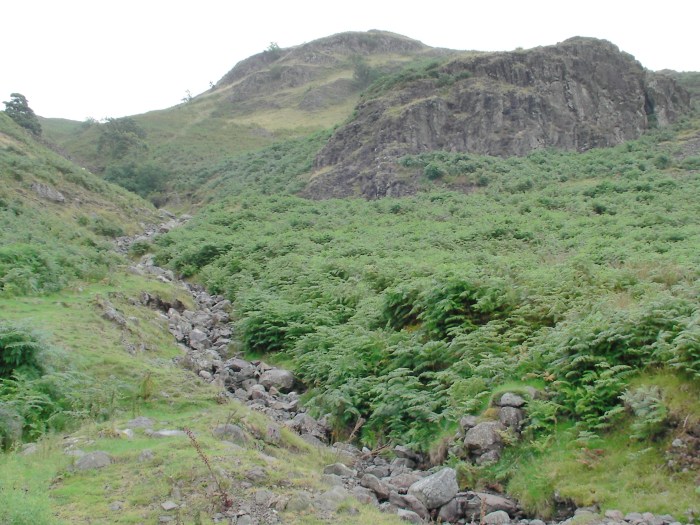 William's Beck William's Beck