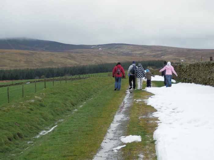 P4080274-Heading for Mwdwl-eithin Heading for Mwdwl-eithin