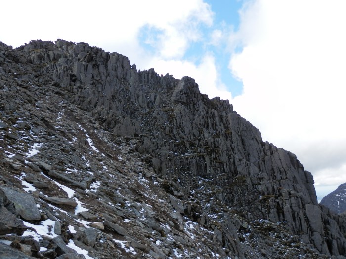 Bristly Ridge