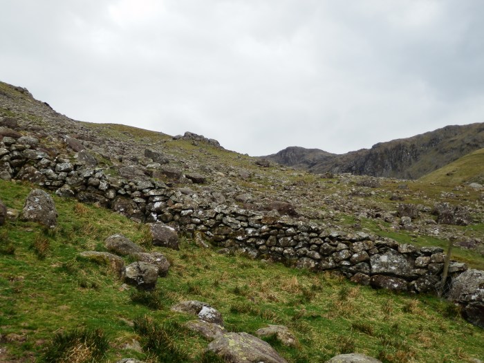 Heading up onto Rosthwaite Fell
