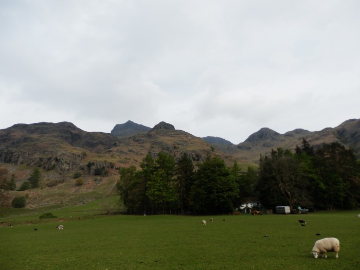 Langdale Pikes on the way to NDG