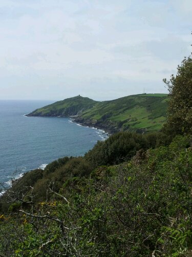 20120519_132019.jpg image