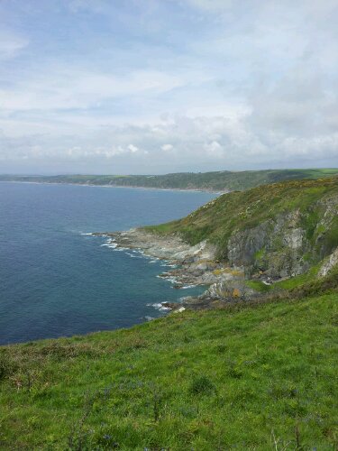 20120519_135003.jpg image