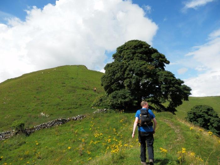 Halfway up Chrome Hill and "The Tree"