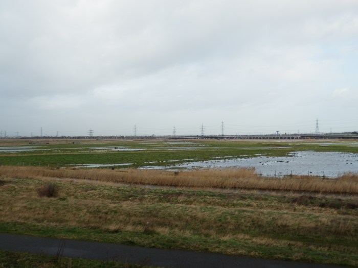 Aveley Marshes - bird sanctuary and rifle range
