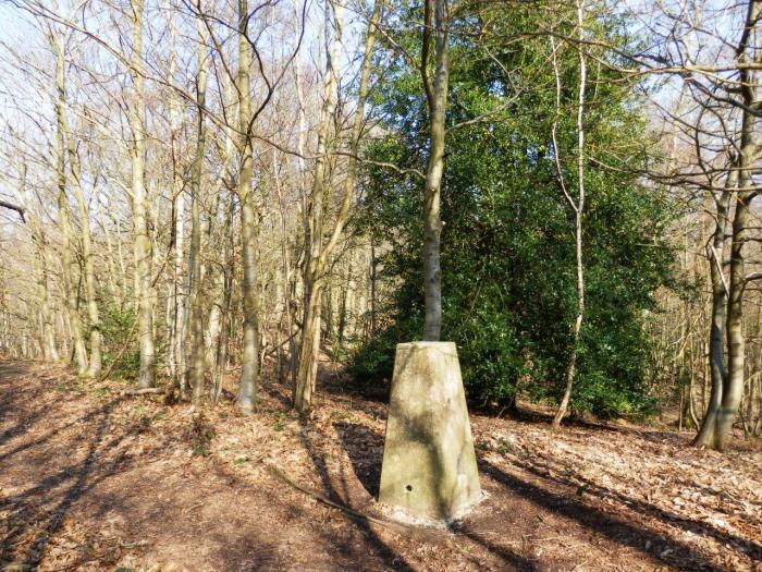 The summit of Holly Hill