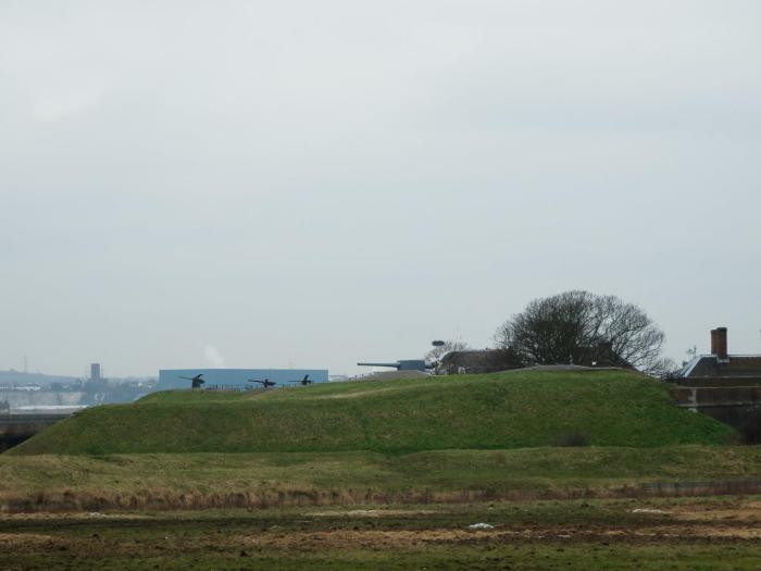An assortment of guns on the fort