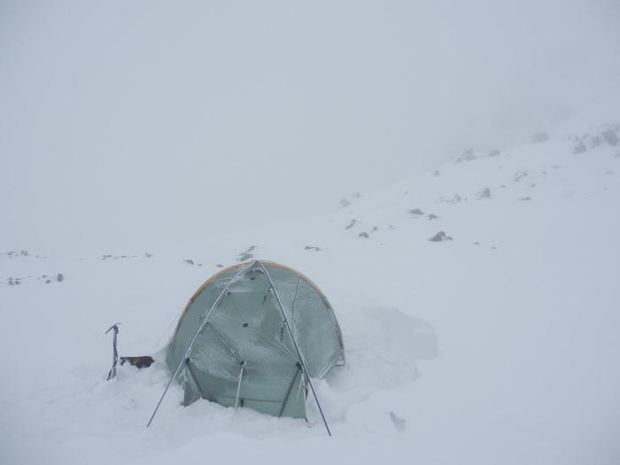 Monica shivers after being snowed on all night