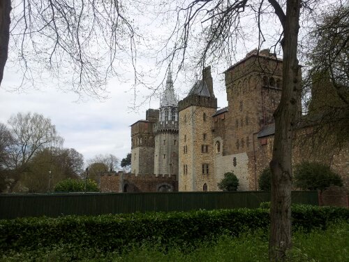 20130428_142659.jpg image