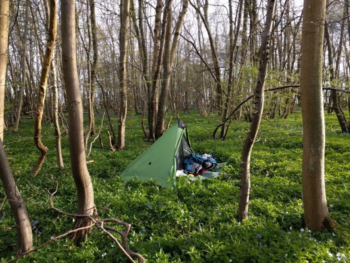 Wildcamp #60: "Squeaky Wood"