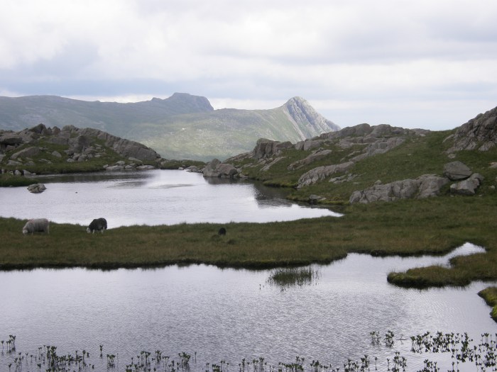 Langdale Pikes from Lincomb Tarns