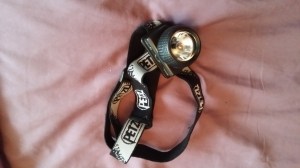 Petzl headtorch