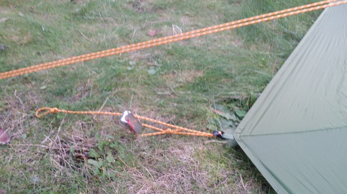 The back guys colour coded in orange