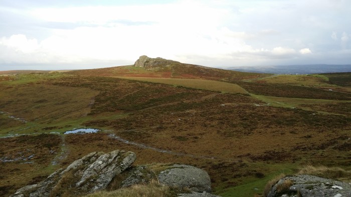 Dartmoor