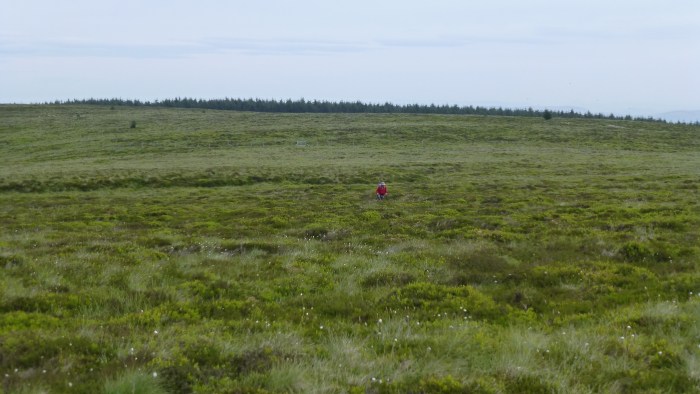 The unrewarding trudge for a deleted Nuttall. Pic courtesy of @LoneWalkerUK