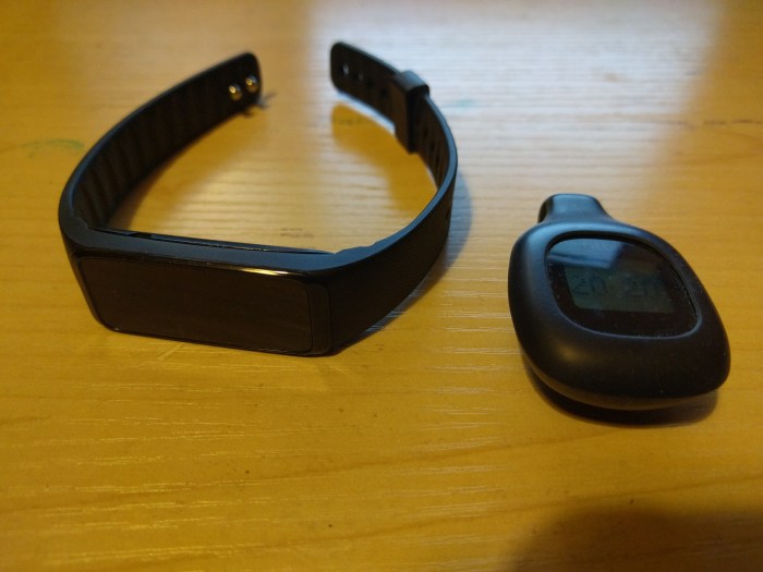 Hi-Tec Trek Go (left) and Fitbit Zip (right)