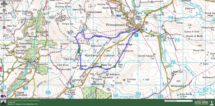 2017-01-01-walkhampton-common
